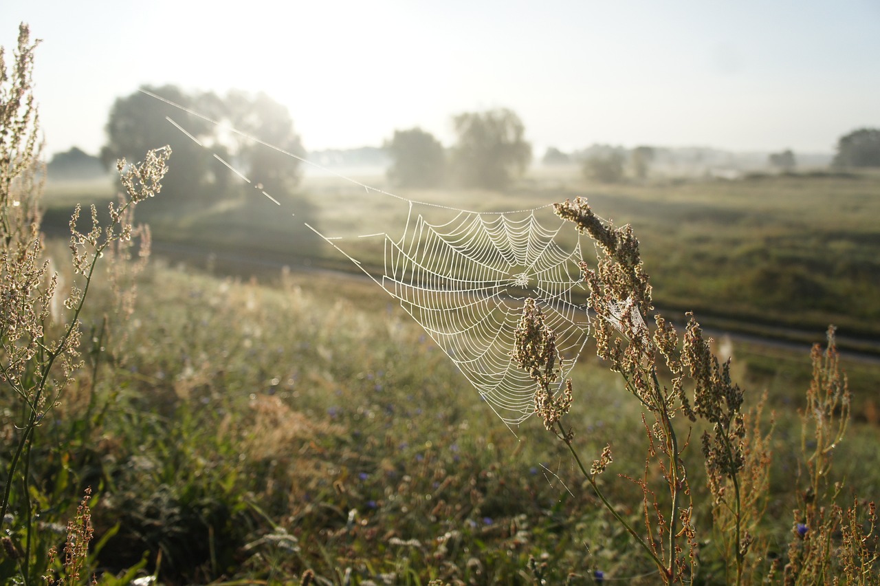 Naturschutzgebiete Uckermark